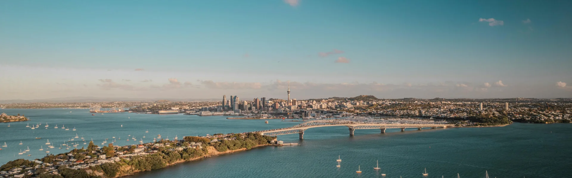 Things to Do in Auckland For Young Adults